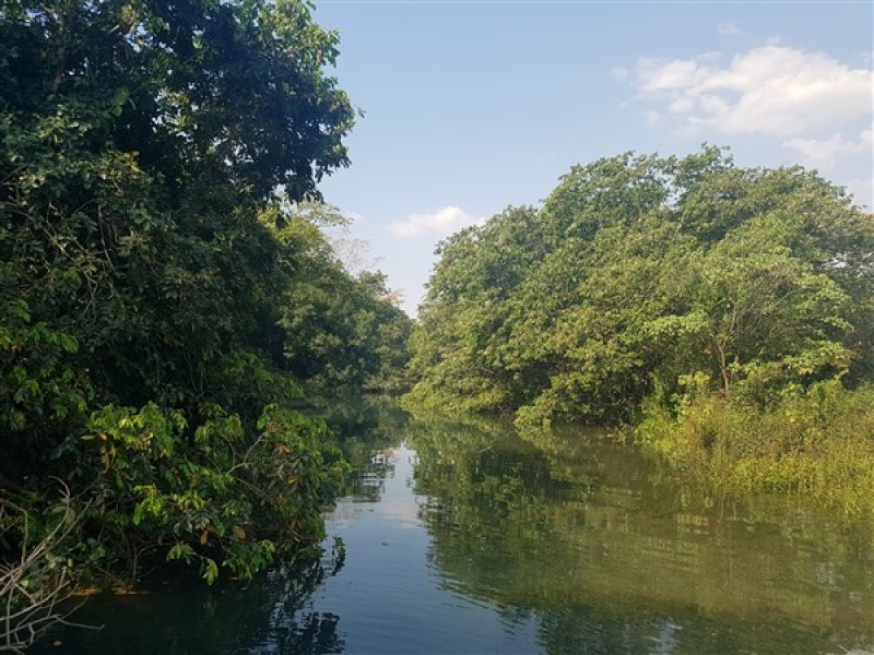 Valeta do Tião