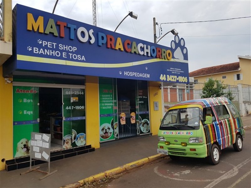 Mattos Pracachorro