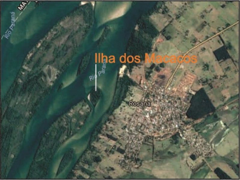 Ilha dos Macacos