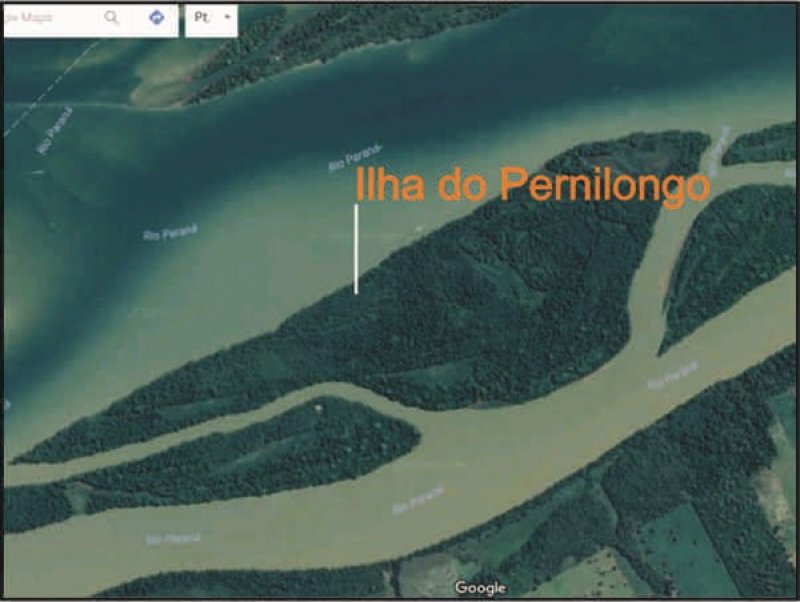 Ilha do Pernilongo